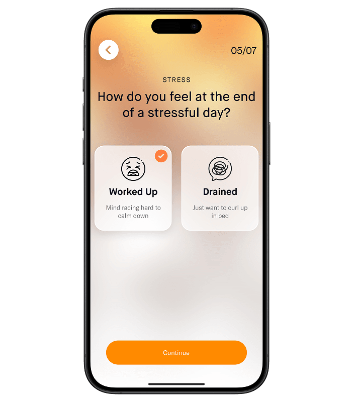 Mobile App 2